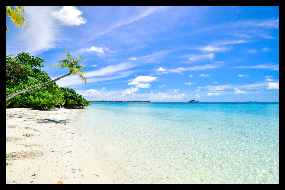 Untitled Design (42)