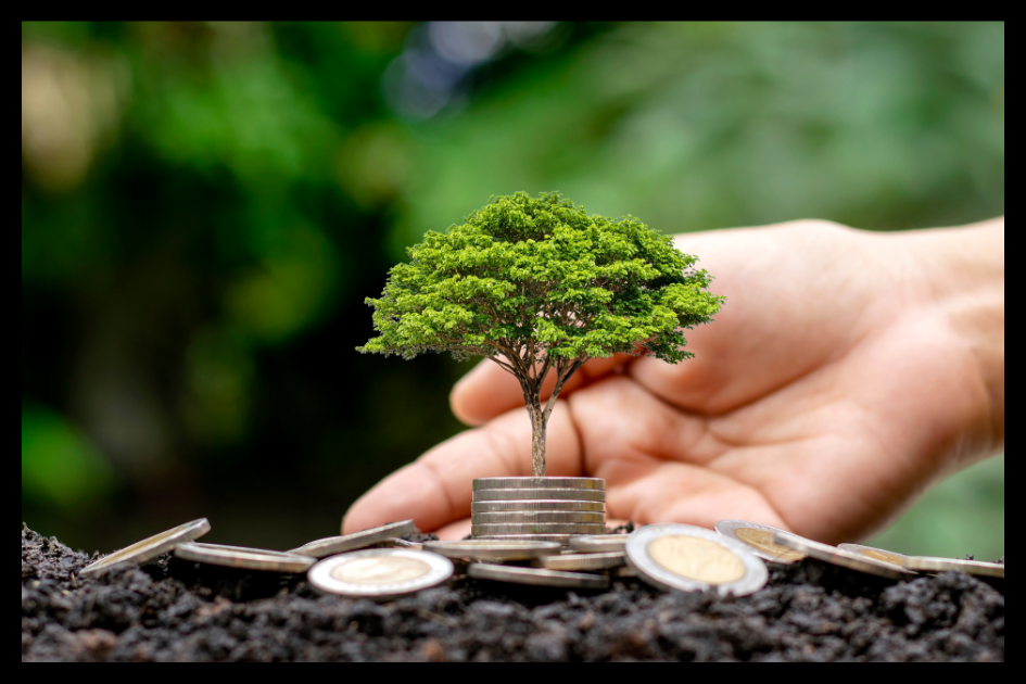 CFO insights for business growth