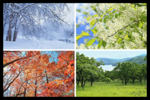 Tax tips for seasonal businesses — planning and paperwork during off-season