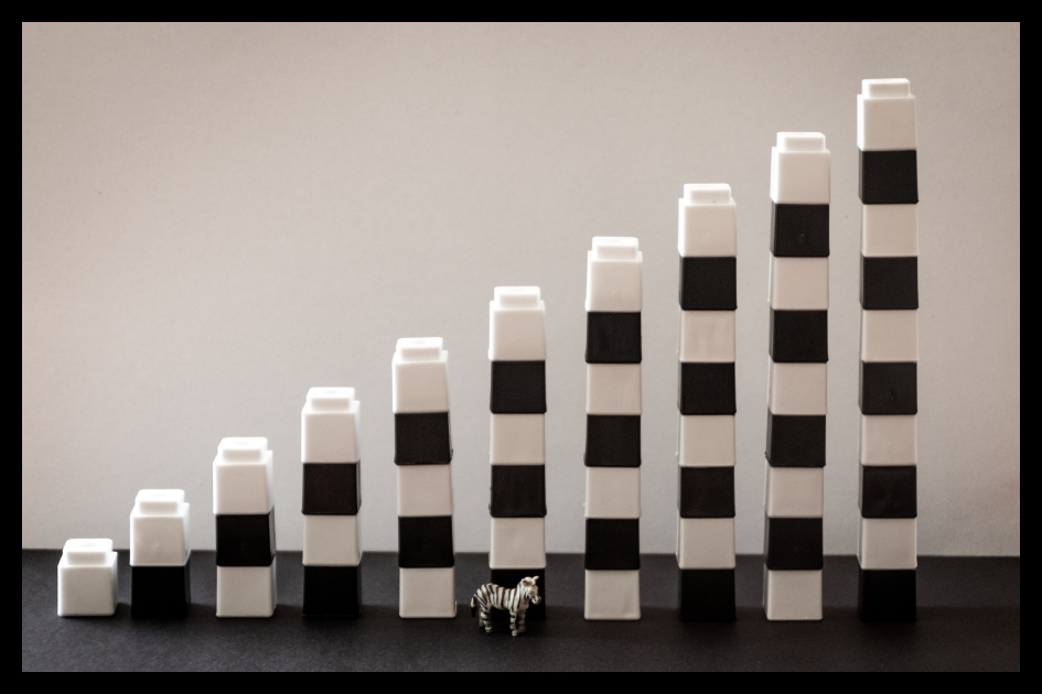 CFO Role in Business: How a CFO Helps Scale Growth