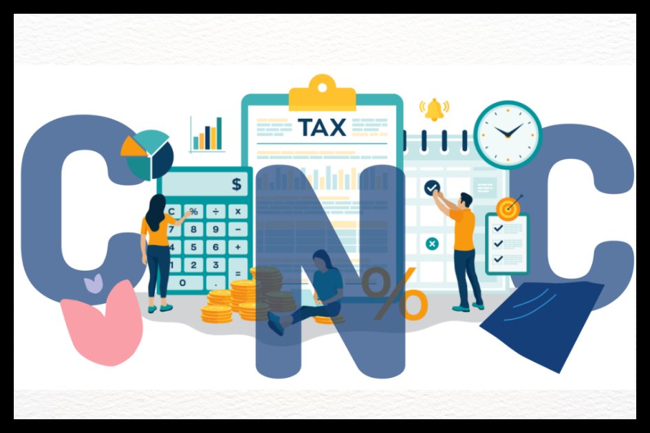 IRS Currently Not Collectible: When to Request This Status