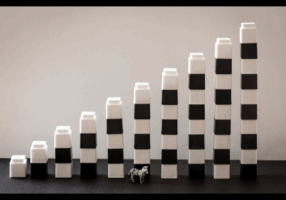 CFO Role in Business: How a CFO Helps Scale Growth